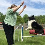 Trainer working with a dog on a course