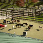 WM-Pet-Resort-Homepage-Dog-Daycare-Photo-Test-1