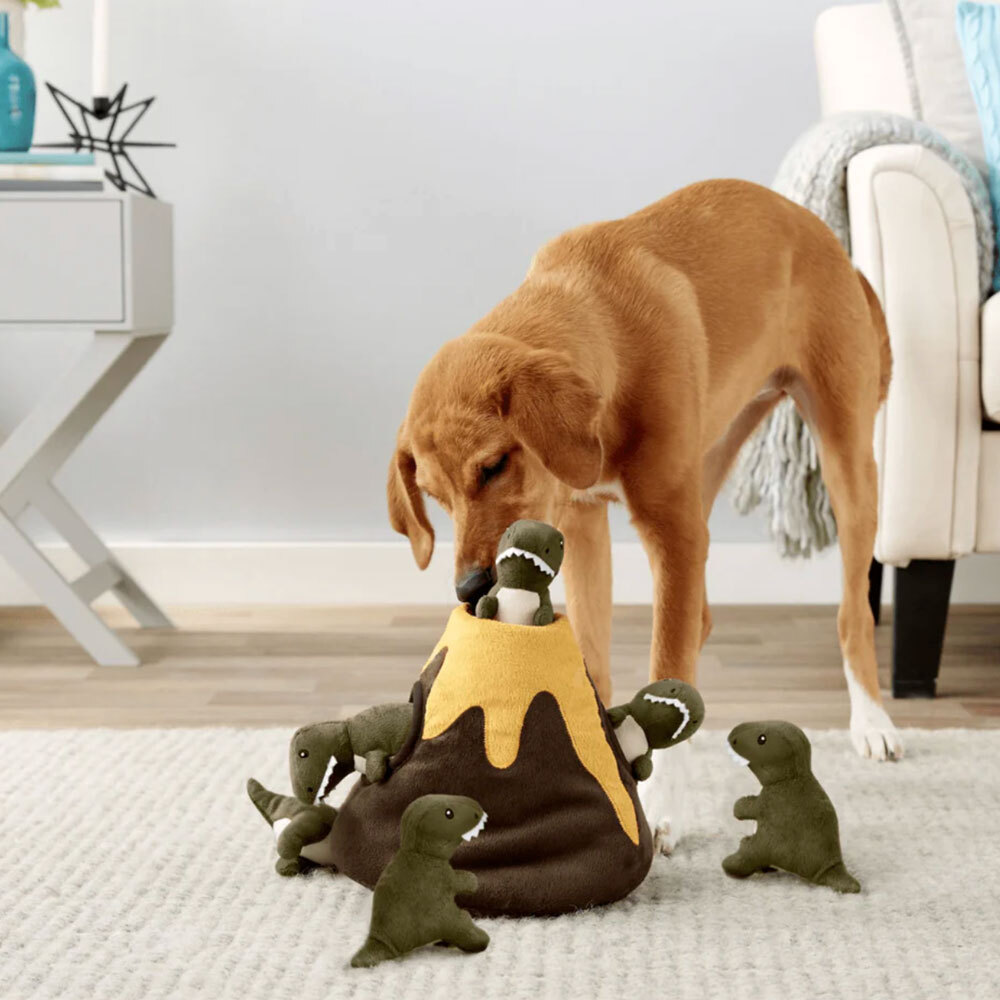 Wagsworth-Blog-Best-Dog-Toys-2024-Featured-Image
