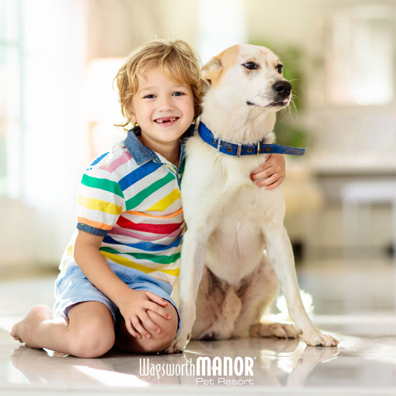 Image of a child hugging a dog