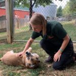 Image of a dog boarding team member playing with a dog