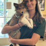 Image of a dog trainer holding a dog