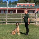 Image of our dog trainer Davyda training a dog to sit