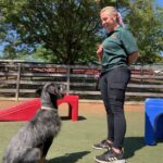 Image of our dog trainer Davyda training a dog to sit