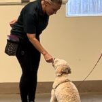 Image of our dog trainer Davyda training a dog