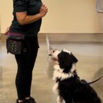 Image of our dog trainer Davyda training a dog