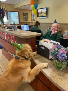 Image of a dog in the trainers' office celebrating a birthday