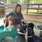 Image of a person playing with dogs at a training site