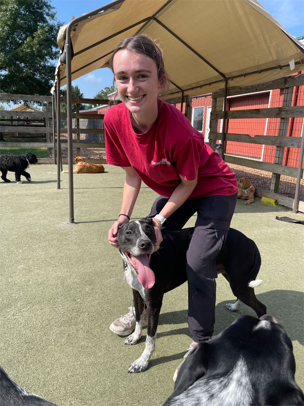 Image of an Activity Counselor for Dogs with a black dog