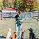 WM-Pet-Resort-Dog-Training-Image-2025-3