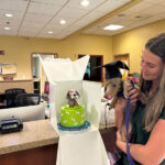 WM-Pet-Resort-Dog-Training-Image-2025-4