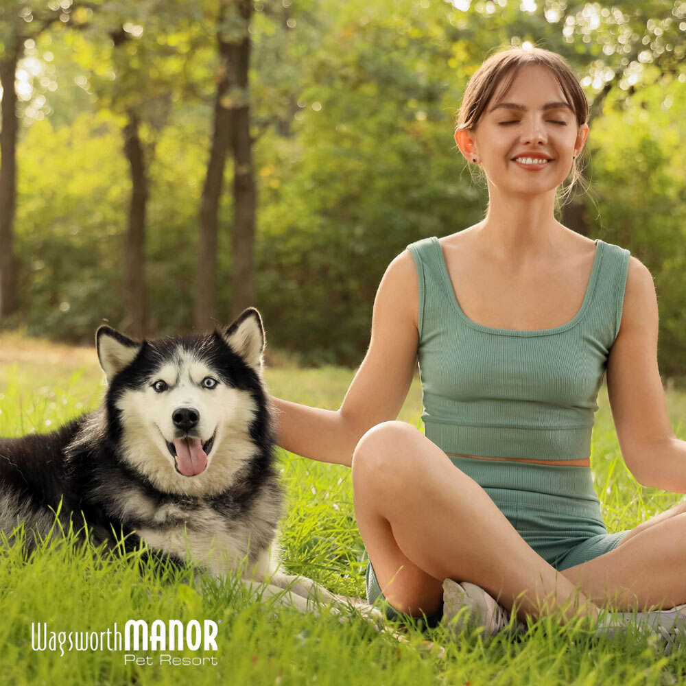 Celebrate National Pet Month with pet wellness tips